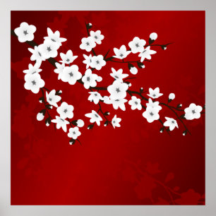 Póster Asia Floral White Cherry Blossom Red