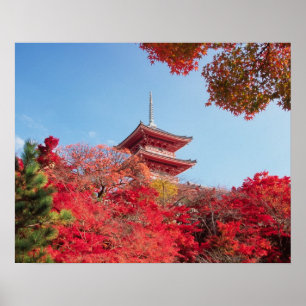 Póster Asia, Japón, Kyoto. Color de Otoño