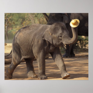 Póster Asia, Tailandia, Lampang Inclinándose con sombrero