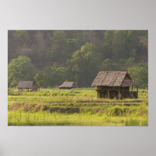 Póster Asia, Thailand, Mae Hong Son, Rice huts in the (Frente)