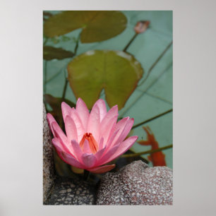Póster Asia, Vietnam. Nilo de agua en un estanque de temp