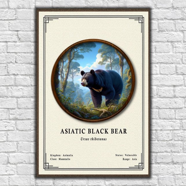 Póster Asiatic Black Bear Zoology Series (Subido por el creador)