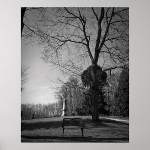 Póster Asiento vacío