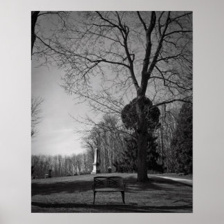 Póster Asiento vacío