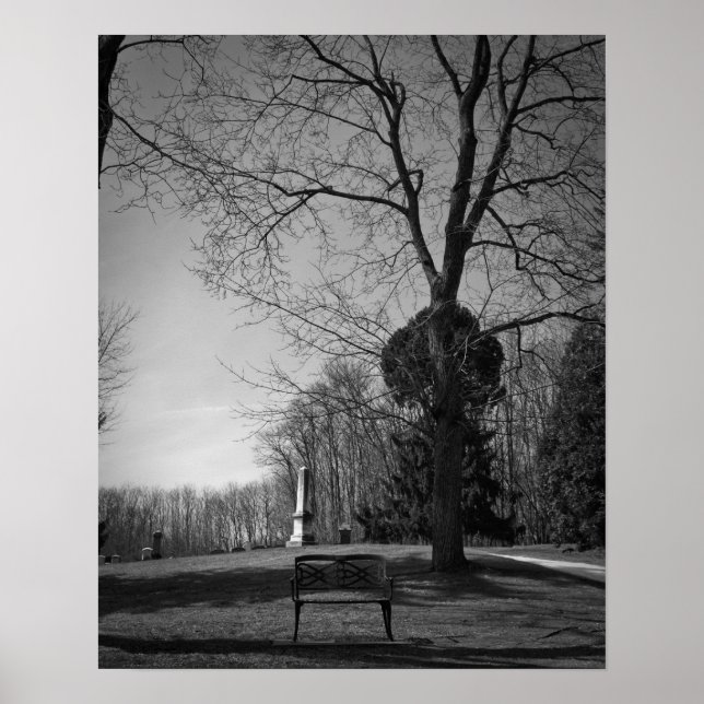 Póster Asiento vacío (Frente)