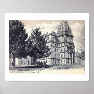 Póster Asilo para enfermos mentales de Greystone, llanura