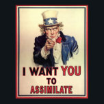 Póster Asimilación<br><div class="desc">La asimilación debería ser el ideal.</div>