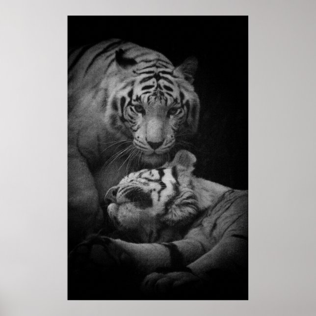 Póster Asistencia Poster requerido (Frente)