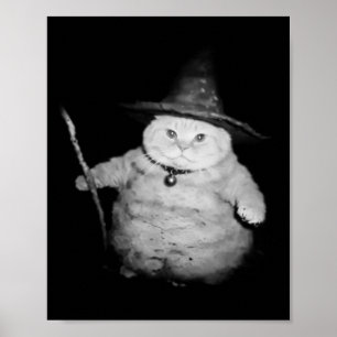 Póster Asistente de cosecha Gato Raro Gracioso Meme de Ga