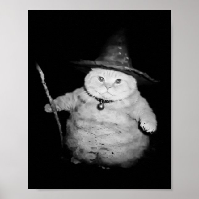 Póster Asistente de cosecha Gato Raro Gracioso Meme de Ga (Frente)