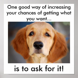 Póster Ask for what you want