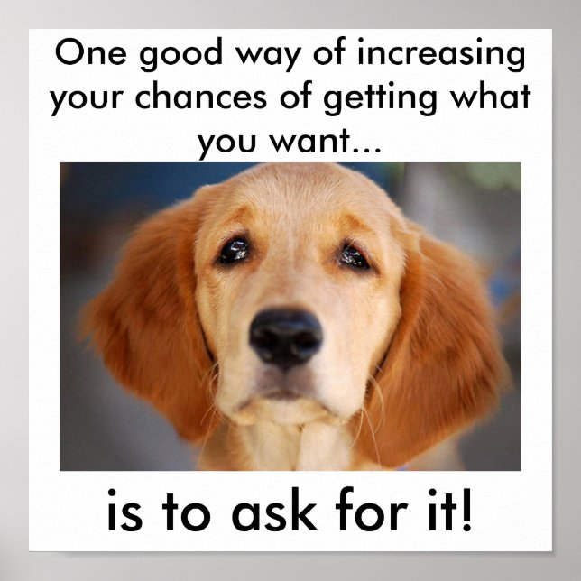 Póster Ask for what you want (Frente)