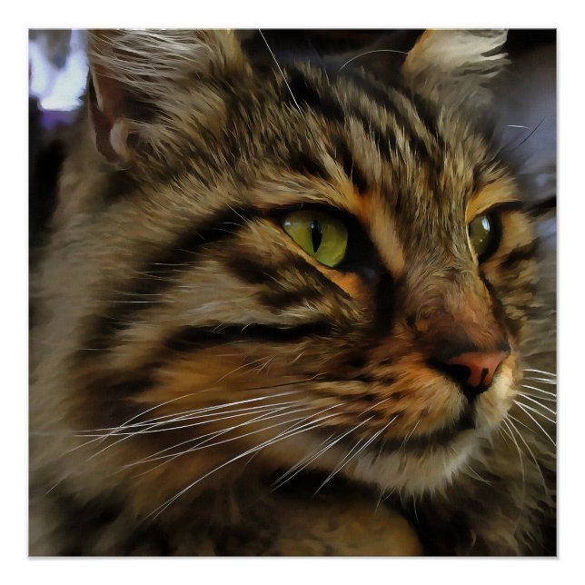Póster Aslan, El Gato De Tabby, De Larga Esperanza (Anverso)