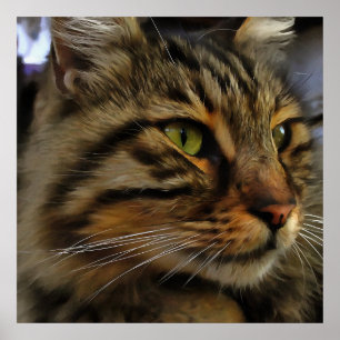 Póster Aslan, El Gato De Tabby, De Larga Esperanza