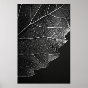 Póster Asombrosa fotografía macro de Nathan Wirth - Close