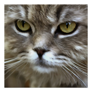 Póster Asombroso retrato artístico de Mascota de gatos gr
