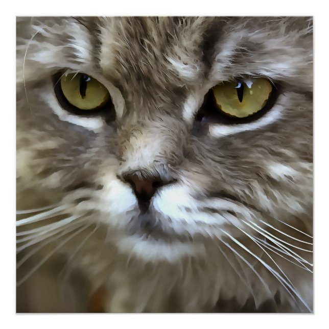 Póster Asombroso retrato artístico de Mascota de gatos gr (Anverso)