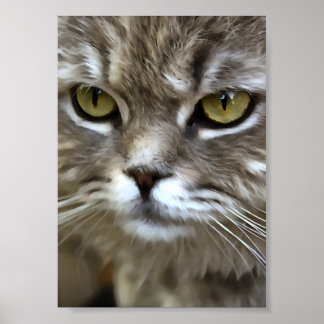 Póster Asombroso retrato artístico de Mascota de gatos gr