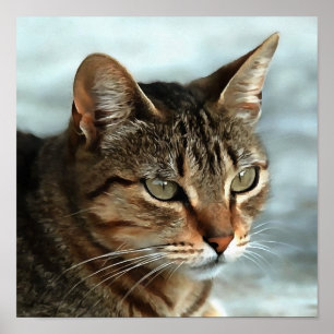 Póster Asombroso retrato artístico del gato de Tabby