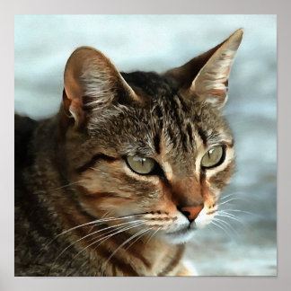 Póster Asombroso retrato artístico del gato de Tabby