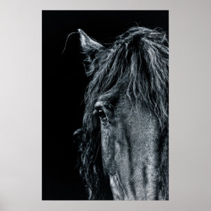 Póster Asombroso retrato de caballo negro