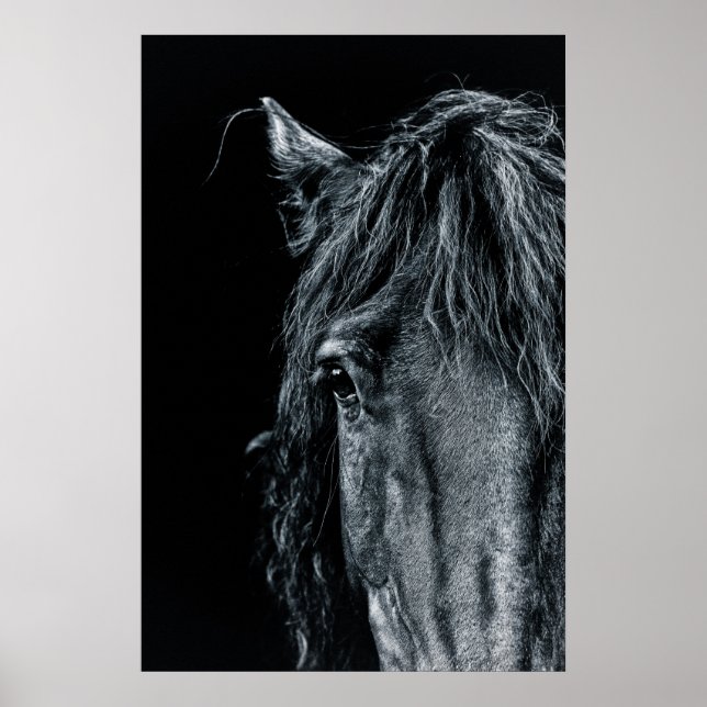 Póster Asombroso retrato de caballo negro (Frente)