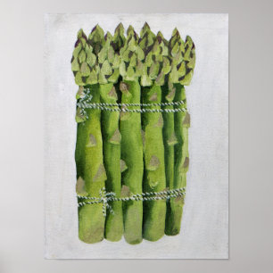 Póster Asparagus 2013