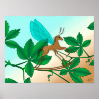 Aspecto de los insectos de vidrio - Mosca de rocas