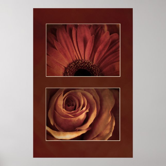 Póster Aspecto elegante del tablero de Rosa Daisy Imprimi (Frente)