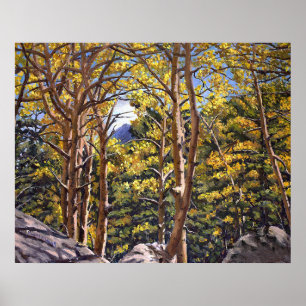 Póster Aspen de Colorado en Hermoso Esplendor Otoñal