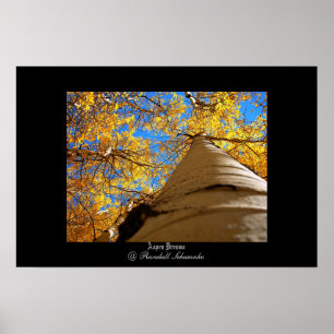 Póster Aspen Dreams