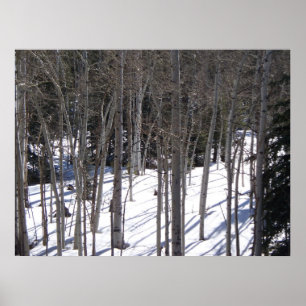 Póster Aspen en nieve