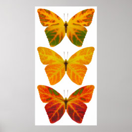 Póster Aspen Leaf Butterflies