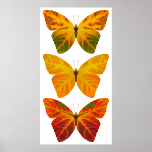 Póster Aspen Leaf Butterflies