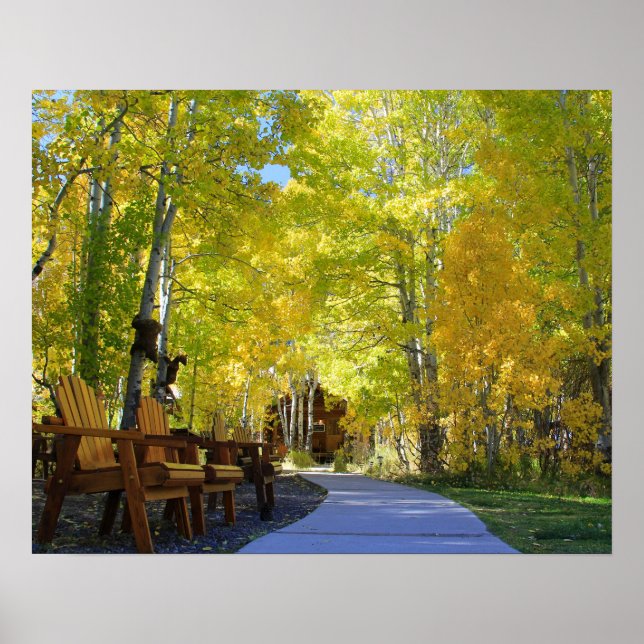 Póster "Aspen Walkway", Ground View, otoño (Frente)