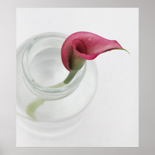 Póster Aspereza (Frente)