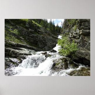 Póster Aster Creek en el Parque Nacional Glacier