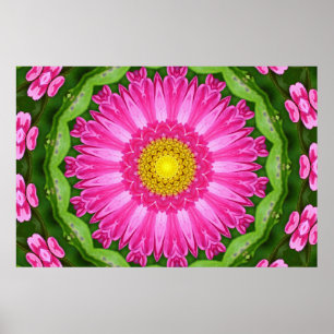 Póster Aster Kaleidoscope