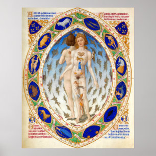PÓSTER ASTROLOGÍA ANTIGUA, RÓTULOS MICROCOSMO Y ZODIACAL