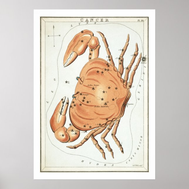 Póster Astrología Zodiaco Cáncer (Frente)