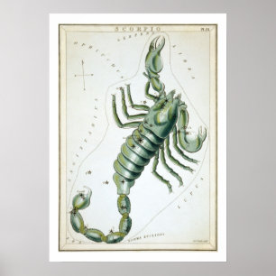 Póster Astrología Zodiaco Escorpio