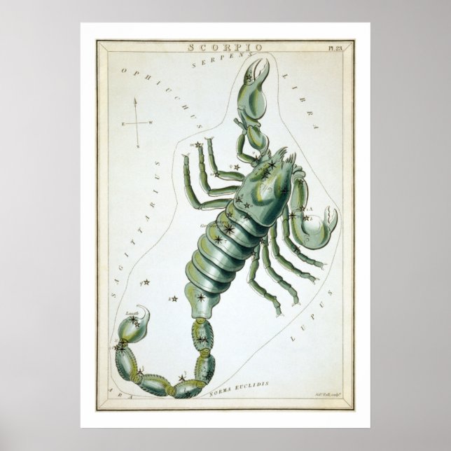 Póster Astrología Zodiaco Escorpio (Frente)