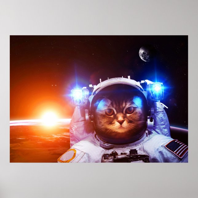 Póster Astronauta gata divertida (Frente)