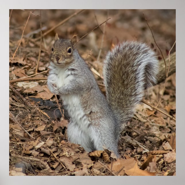 Póster At Attention (Frente)