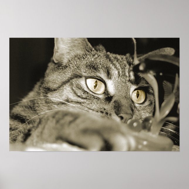 Póster Ataque (Frente)