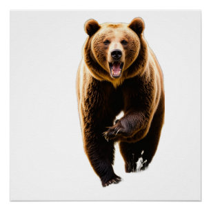 Póster ataque de oso grizzly a un hombre por la espalda 8