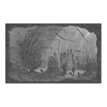 Ataques antiguos acuarios imprimen caballitos de m