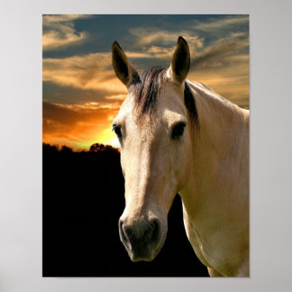 Póster Atardecer
