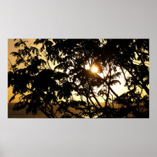Póster Atardecer a través de árboles en fotografía tropic