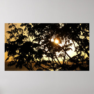 Póster Atardecer a través de árboles en fotografía tropic